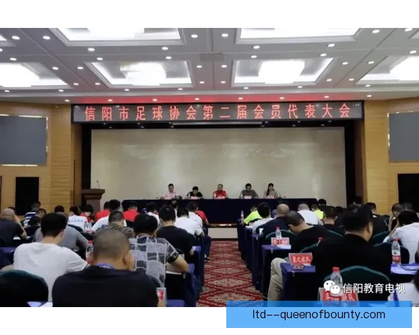 中国足协职业联赛财务审计与管理规范研究