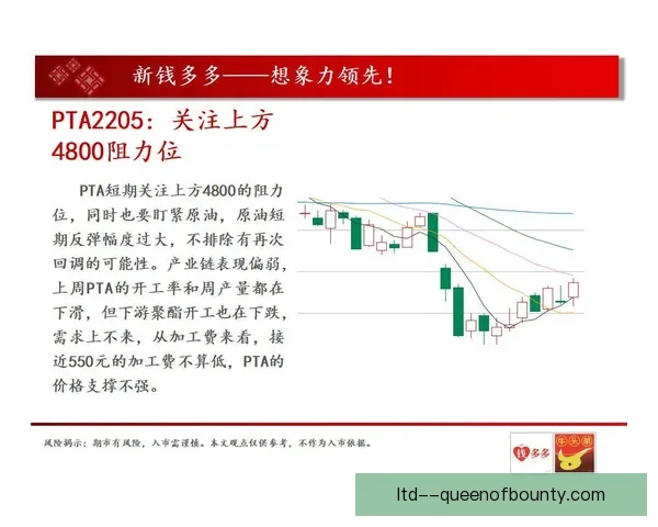 库卢塞夫斯基战国米关键表现解析法甲回暖信号深度洞察前景展望